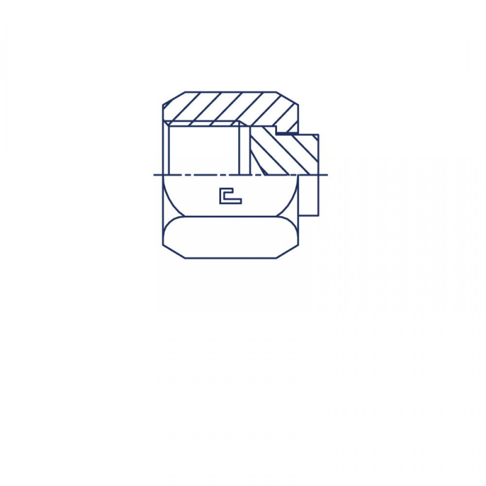 Заглушка V (Г) ORFS 1.3/16