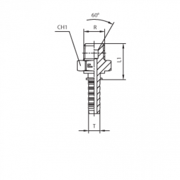 Фитинг DN 20 BSPT 1