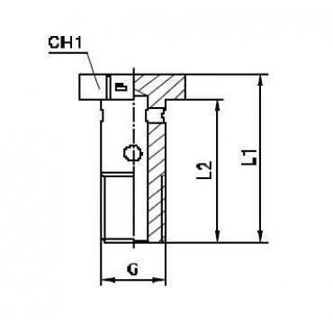 Фитинг BANJO BOLT G3/4