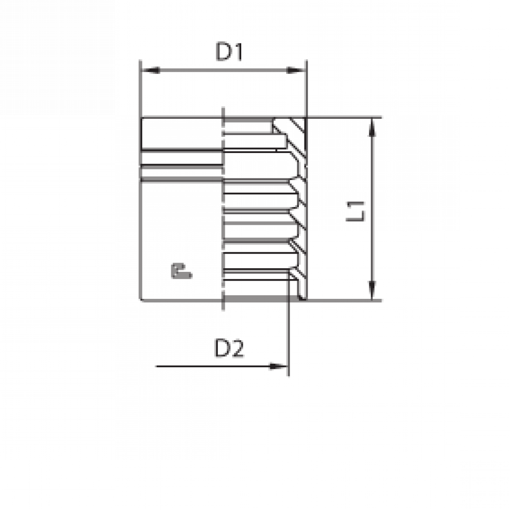 Муфта DN 06 2SN NEW
